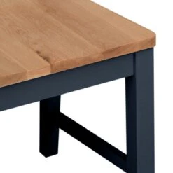 Salisbury Blue Painted Oak Dining Chair -Furniture Specialty Store lp ch b 7