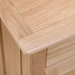 Bergen Oak Small Cupboard -Furniture Specialty Store nt scup new 5