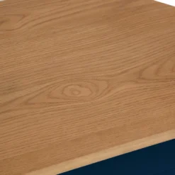 Rutland Blue Painted Oak Corner TV Unit -Furniture Specialty Store rab ctv b 5